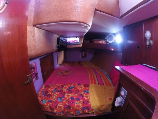 DYNAMIC EXPRESS 44 – Image 6