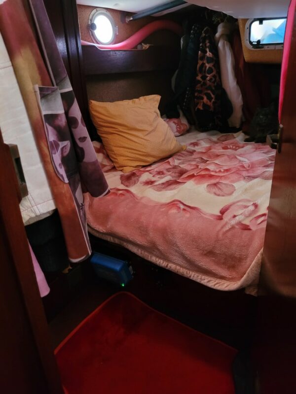 DYNAMIC EXPRESS 44 – Image 8