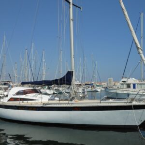DYNAMIC EXPRESS 44